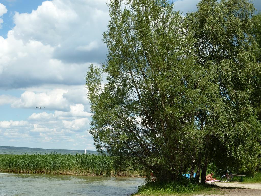 Mueritzhoeh Rechlin Buitenkant foto