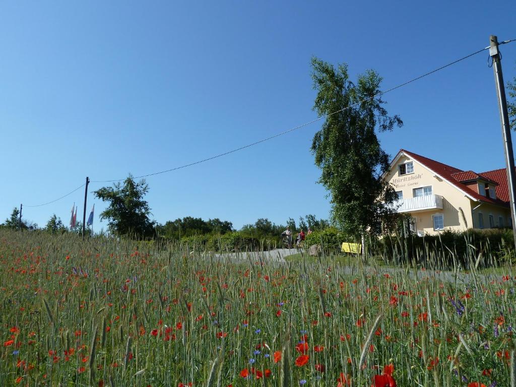 Mueritzhoeh Rechlin Buitenkant foto